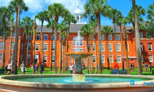 24.University-of-South-Florida-photo